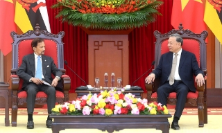 Tổng Bí thư Tô Lâm tiếp Quốc vương Brunei